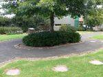 Box Hill Pioneer Memorial : 22-April-2012