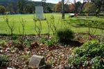 Sir Donald & Lady Bradman Garden : August-2014