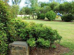 Gardens : 16-January-2016