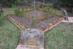 WW2 Garden: 15-June-2015