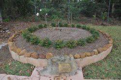 Fallen Garden : 15-June-2015