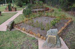 Mateship Garden : 15-July-2015