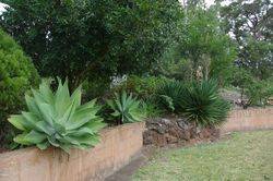 Memorial Gardens 4 : 15-June-2015