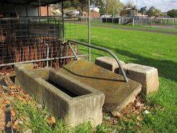 Showgrounds Trough : 10-May-2015