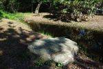 Captain Cooks Landing Site Stream