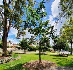 14-January-2022 (Peter Muller)