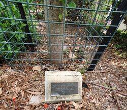 14-January-2022 (Peter Muller)