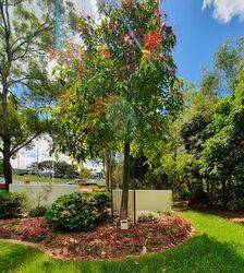 14-January-2022 (Peter Muller)