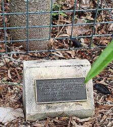 14-January-2022 (Peter Muller)