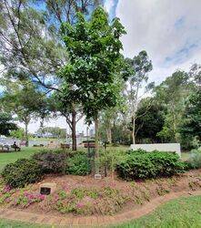 14-January-2022 (Peter Muller)