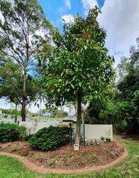 14-January-2022 (Peter Muller)