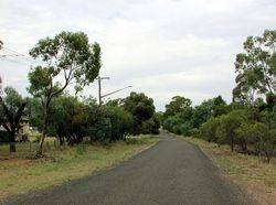 Trees 2 : 12-Janaury-2016