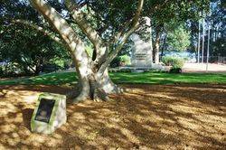 23-May-2015 (Peter Williams)