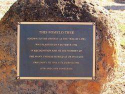 Plaque Inscription: 21 -March-2015