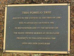 Plaque Inscription: 29-November-2015