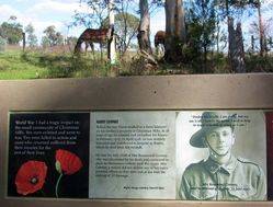 25-August-2017 (Sandra Brown) 