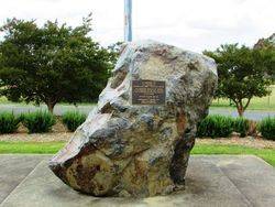 17-March-2019 (Sandra Brown)