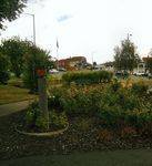 Claremont Community Memorial Rose Garden : 02-March-2013