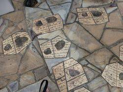 Tile 2 : 20-November-2014