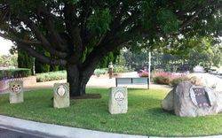 23-May-2018 (Heather Stevens)