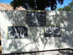 2010 (Alison Edwards)