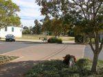 C.J`s Crossing : 15-August-2014