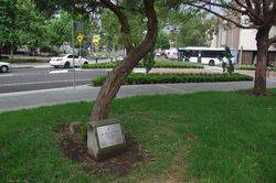 Plaque 2 : 06-November-2015
