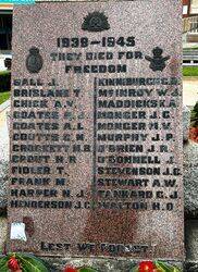 17-November-2022 (Fiona Morrison)