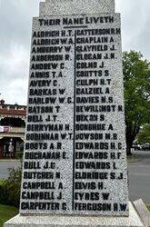 17-November-2022 (Fiona Morrison)