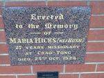 Maria Hicks Plaque : March 2014