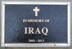 18-October-2016 (Peter F Williams)