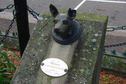 Donna  : September 2014