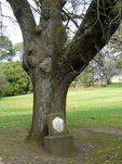 Druids Lodge : 25-August-2011