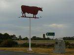 Durham Ox