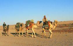 1994 : Danny Colson & Denis Bartell arriving at Birdsville (Denis Bartell)