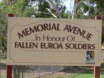 Euroa Memorial Avenue : 12-May-2013