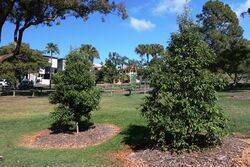 15-August-2021 (John Huth)