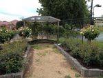 Commemorative Rose Garden 3 : October 2013