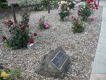 Friendship Force Rose Garden : 02-December-2012