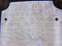 Cahill Inscription 2 : 29-November-2014