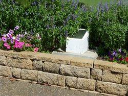 Plaque 2 : 15-December-2014