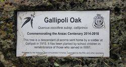 Plaque:01-January-2000