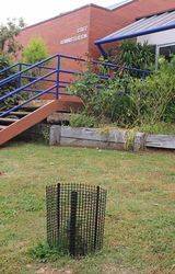 Oak 2: 17-December-2016