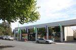 Geelong Art Gallery : December 2013