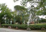 Geoff Levey Memorial Garden 3 : 18-04-2014