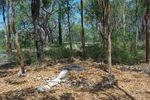 Grays Point Bushfire : 16-February-2013