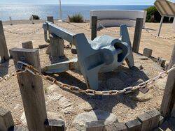 26-February-2022 (Fiona Morrison)