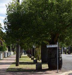 03-July-2021 (Henry Moulds)