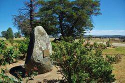 29-September-2017 (Peter F Williams)