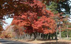 15-April-2019 (John Huth)